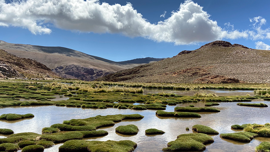 供應鏈管理,BMW永續性 BMW永續性,供應鏈管理,湖泊與山景