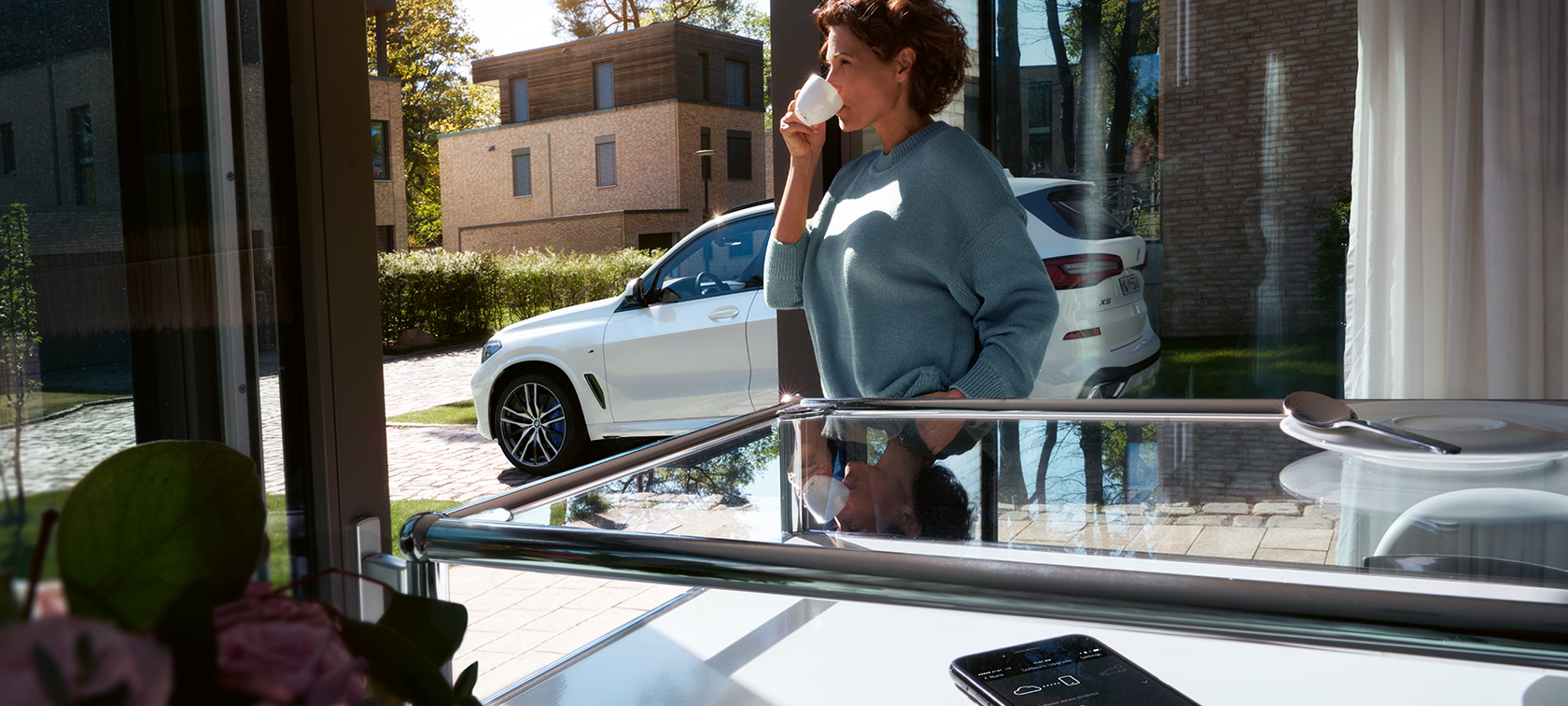 BMW遠端軟體升級 (圖說不翻譯)