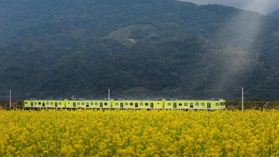 上午|飽覽花東山巒美景 上午|飽覽花東山巒美景
